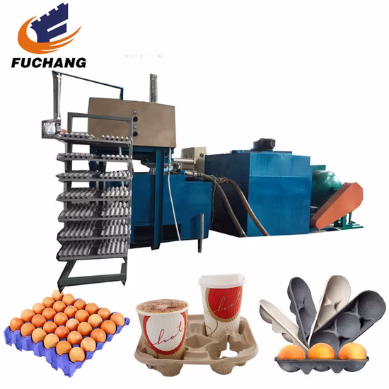 Vente chaude d'équipement de plateau d'oeufs