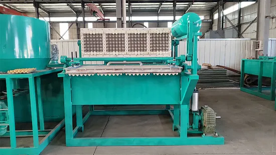 Équipement de moulage de pulpe de plateau à œufs directement de l'usine