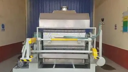 Plateau d'oeufs de pulpe/plateau de fruits/équipement de moulage de plateau de chaussures