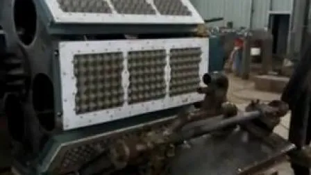 Équipement de production de récipient de nourriture de mousse de Thermocol de plat d'oeufs de plateau d'oeufs